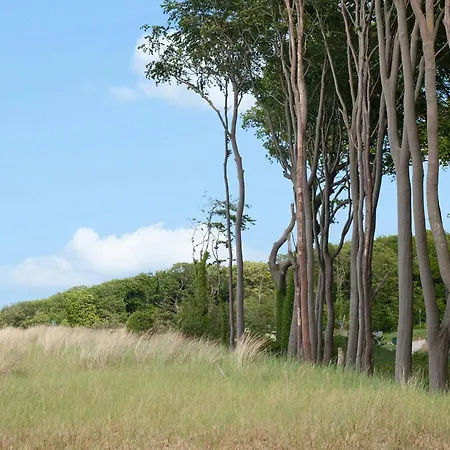 Strandhus 22 Graal-Mueritz
