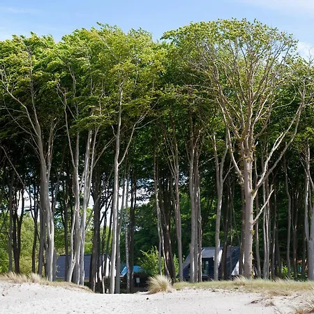 Strandhus Graalifornien