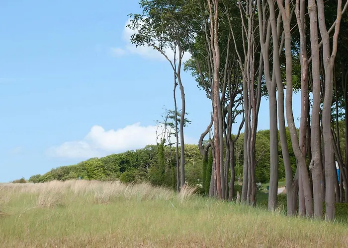 Strandhus Graalifornien غرال موريتز