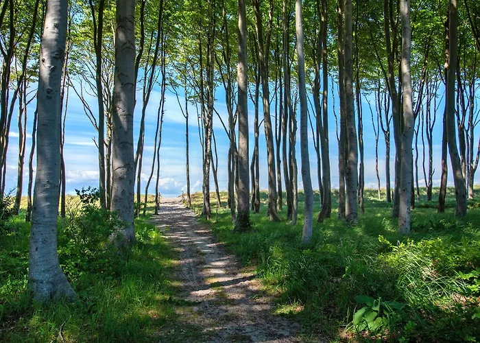 Strandhus Graalifornien *