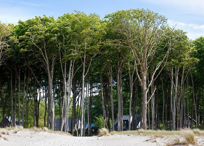 Strandhus Graalifornien